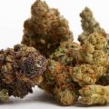 buy-cannabis-flower-online-the-best-bud-company